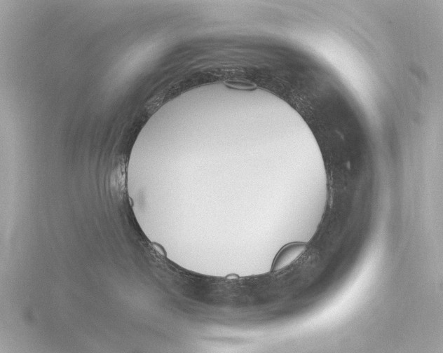 X0000116430190200912221512