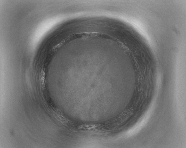 X0000116430194200912221511