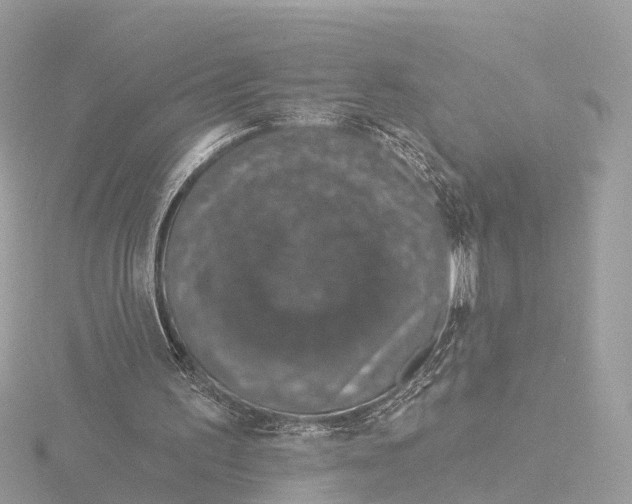 X0000116430195200912221511