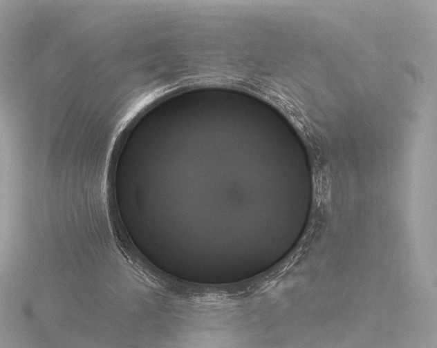 X0000116430196200912221511