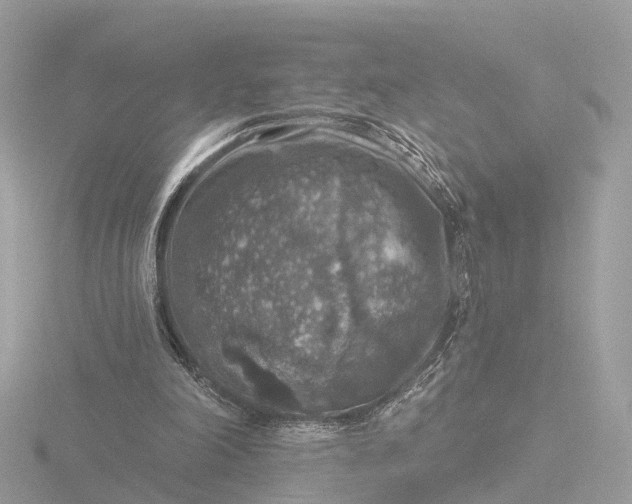 X0000116430198200912221511