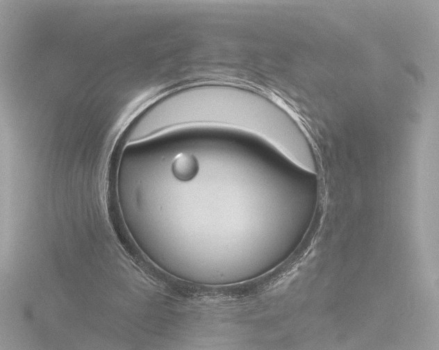 X0000116430199200912221511