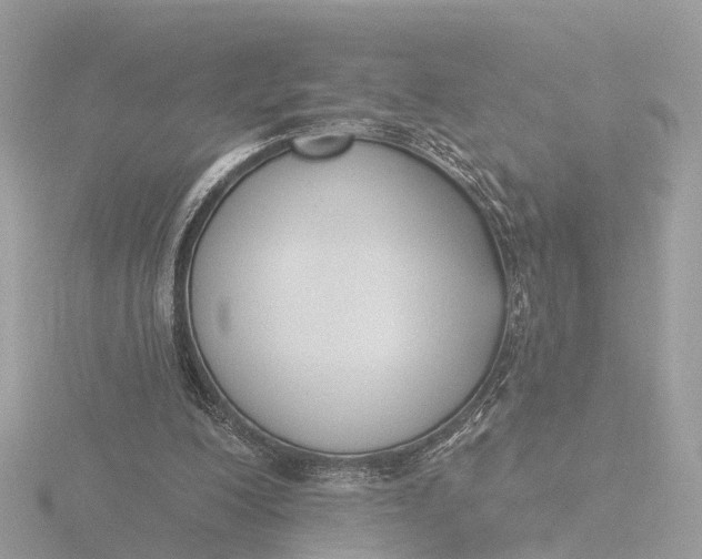 X0000116430200200912221511