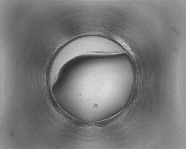 X0000116430201200912221511