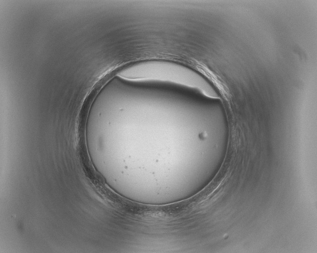 X0000116430203200912221511