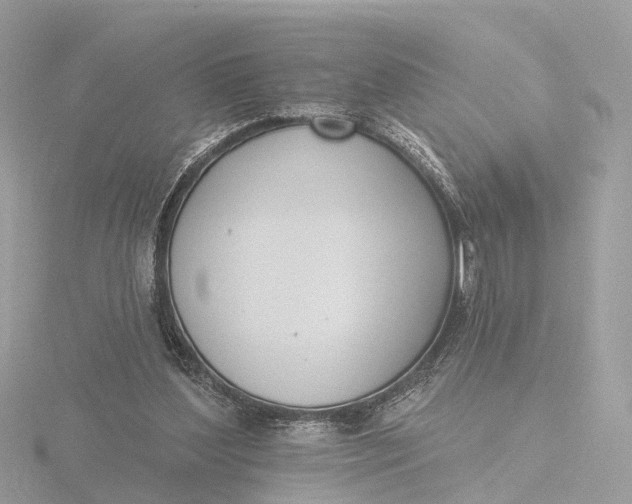 X0000116430204200912221511