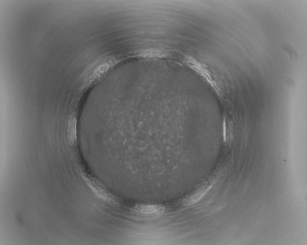 X0000116430205200912221511