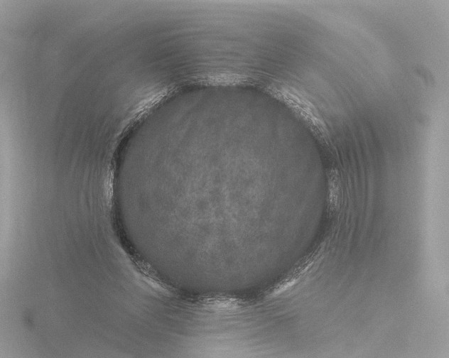 X0000116430206200912221511