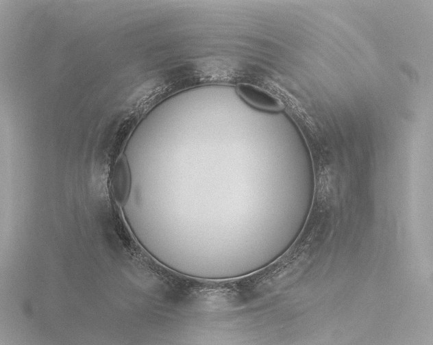 X0000116430209200912221511