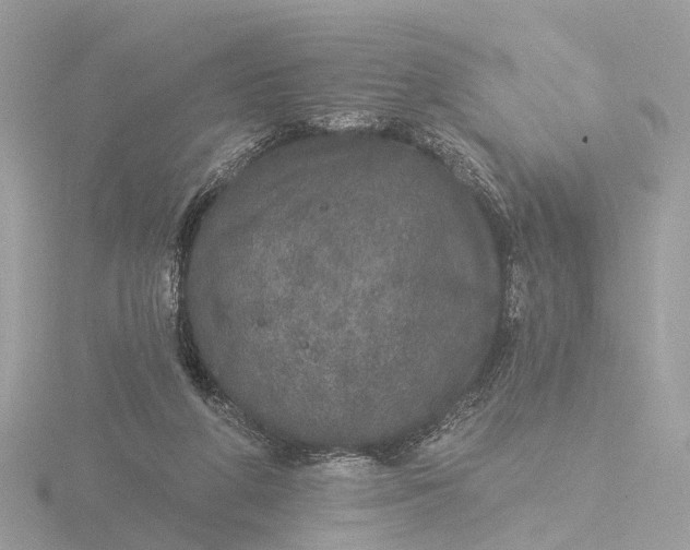 X0000116430210200912221511