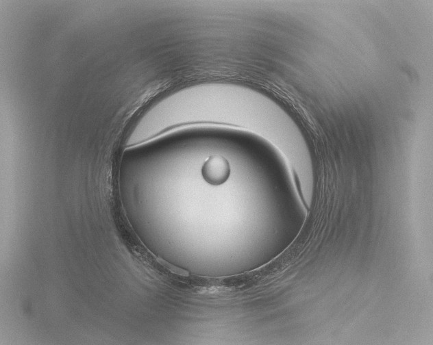 X0000116430212200912221511