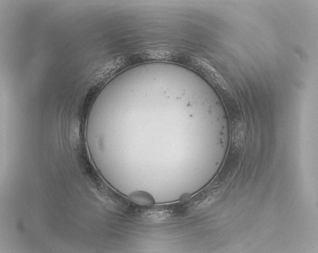 X0000116430213200912221511