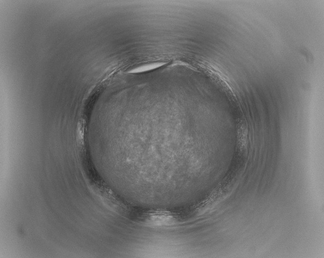 X0000116430214200912221511