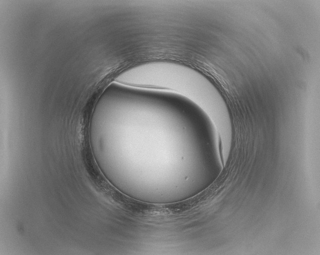 X0000116430215200912221511