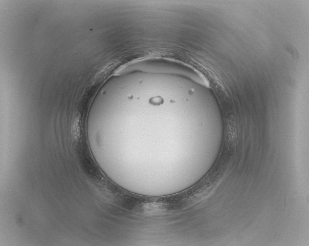 X0000116430216200912221511