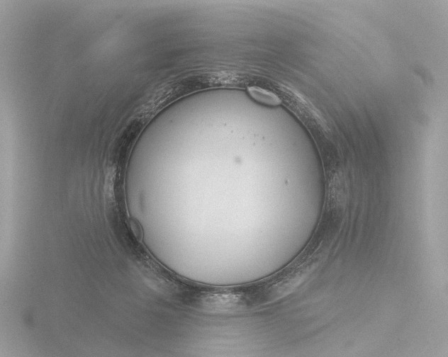 X0000116430217200912221511