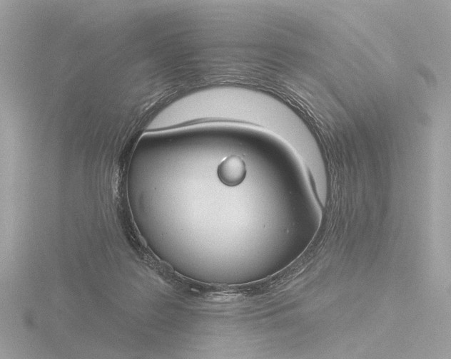 X0000116430219200912221511