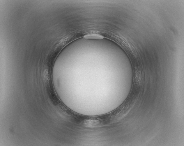 X0000116430220200912221511