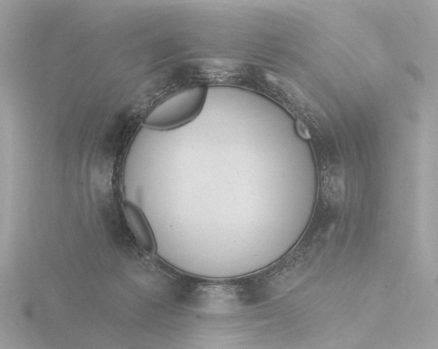 X0000116430221200912221511