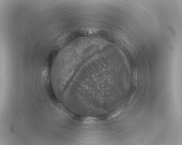 X0000116430222200912221511