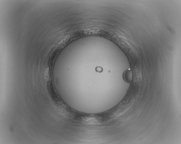 X0000116430224200912221511