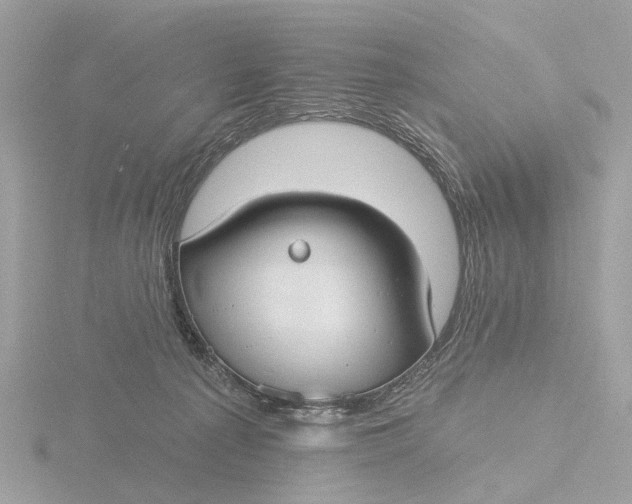 X0000116430225200912221511