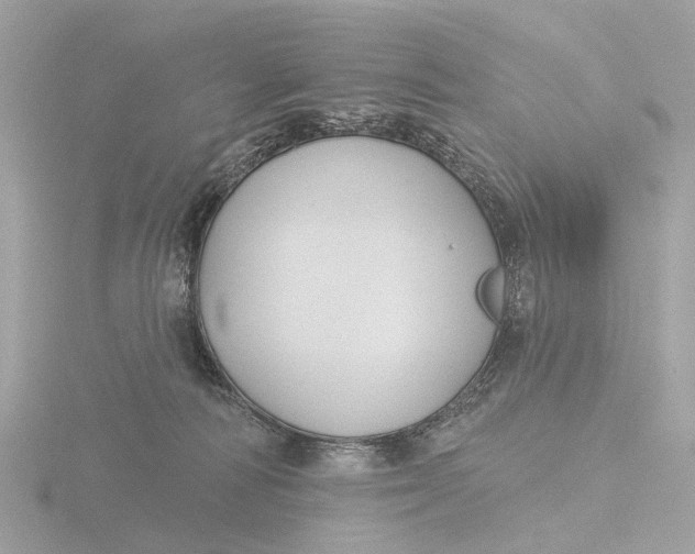 X0000116430226200912221511