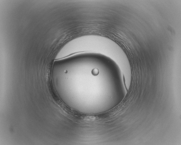 X0000116430227200912221511