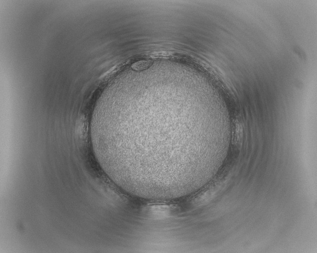 X0000116430228200912221511