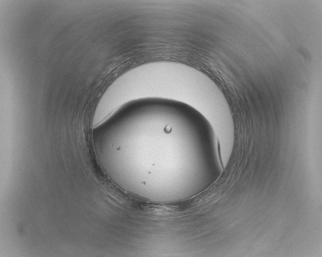 X0000116430229200912221511