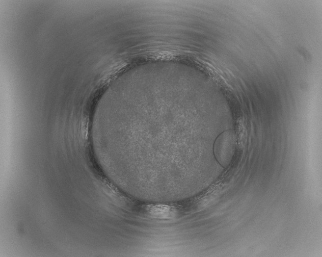 X0000116430230200912221511