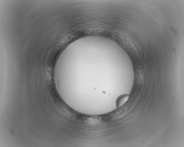 X0000116430232200912221511