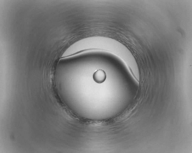 X0000116430235200912221511