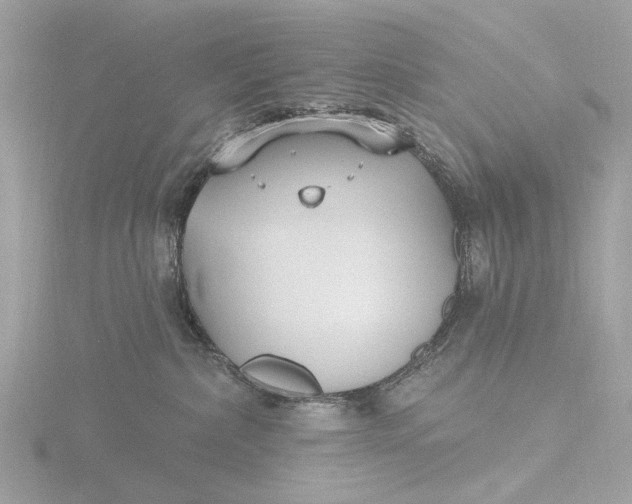 X0000116430236200912221511