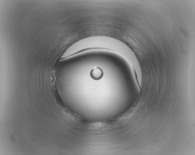 X0000116430237200912221511