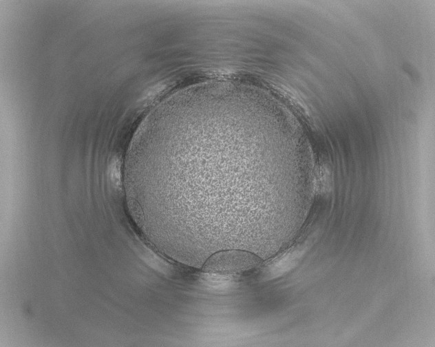 X0000116430238200912221511