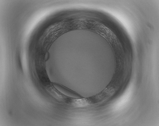 X0000116430239200912221511