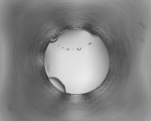 X0000116430240200912221511