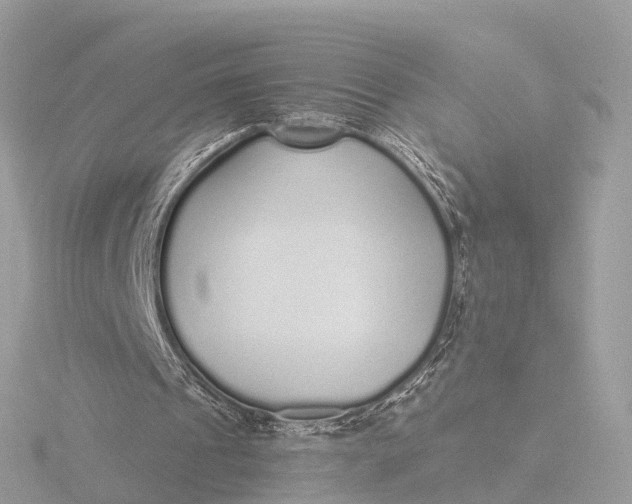 X0000116430241200912221510