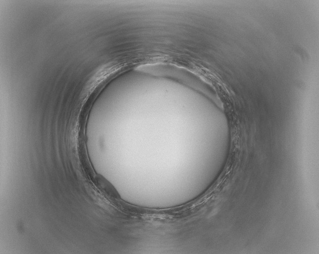 X0000116430242200912221510