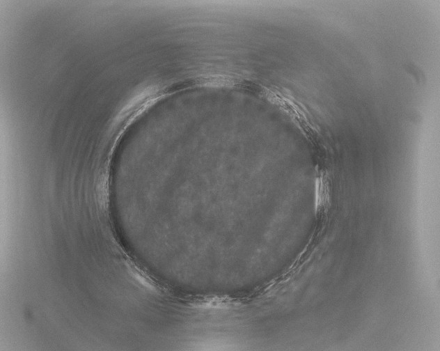 X0000116430243200912221510