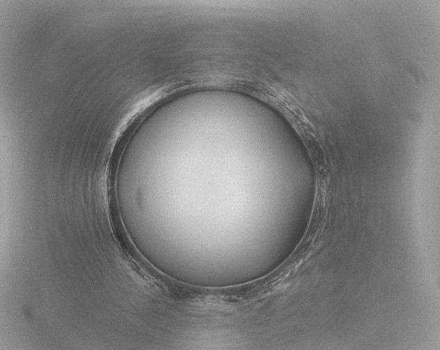 X0000116430244200912221510