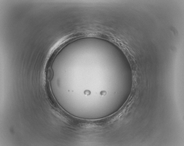 X0000116430246200912221510