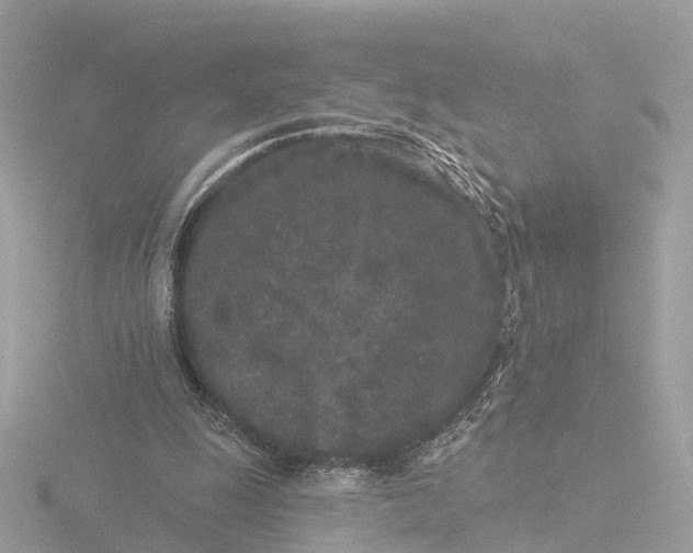 X0000116430247200912221510