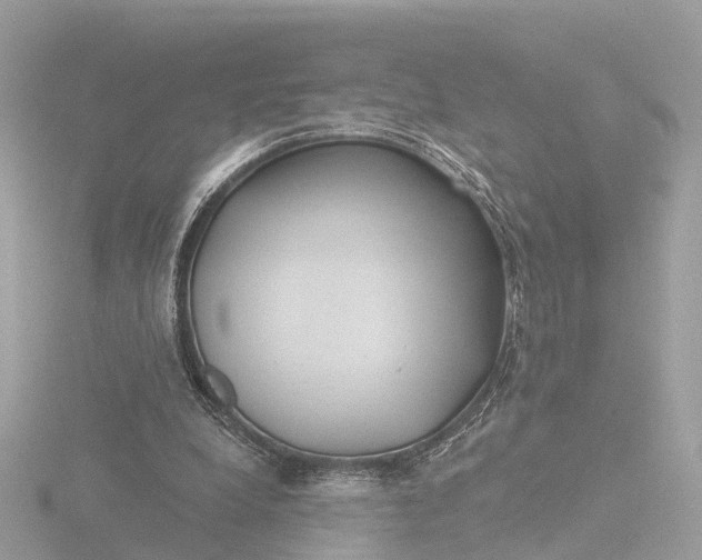 X0000116430248200912221510