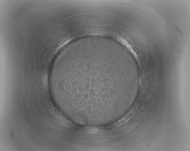 X0000116430249200912221510