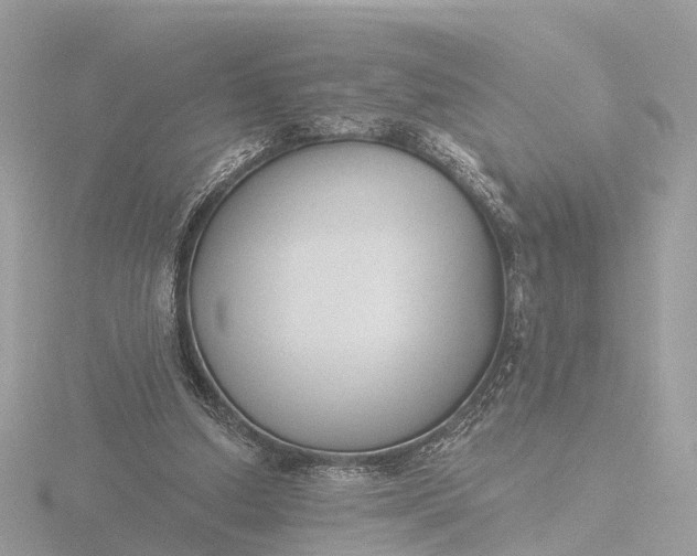 X0000116430250200912221510