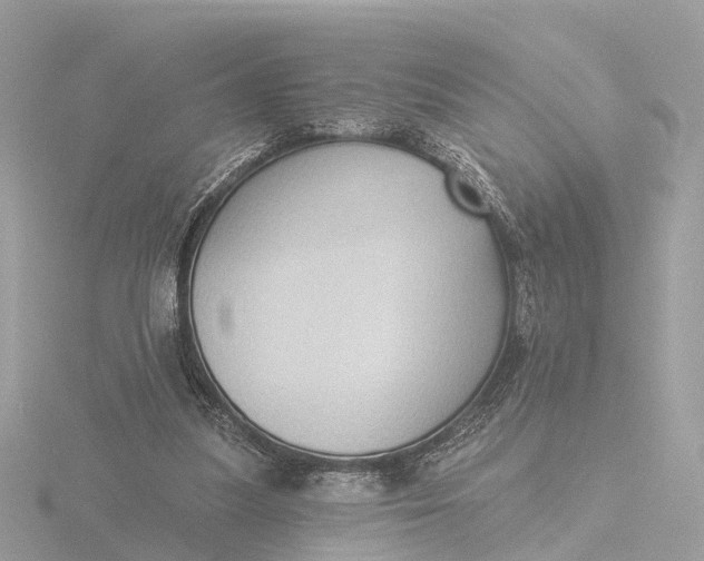 X0000116430251200912221510