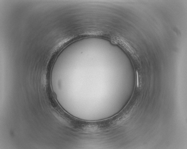 X0000116430252200912221510