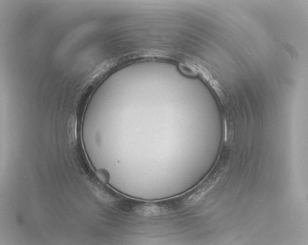 X0000116430253200912221510